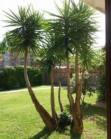 Holiday home La Quercia
